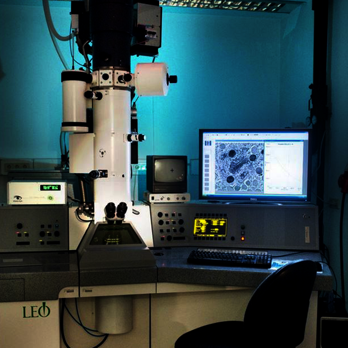 Elektronenmikroskop Zeiss
