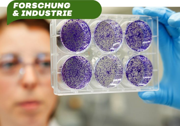 Forschung an der Paracelsus Medizinischen Privatuniversität