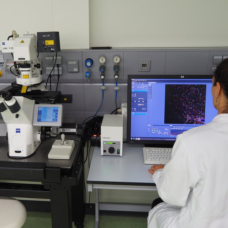 Forscherin beim Mikroskopieren mit dem Laserscanningmikroskop LSM700