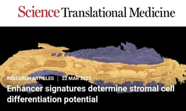 Science Translational Medicine - Titelblatt Publikation Dr. Hochmann