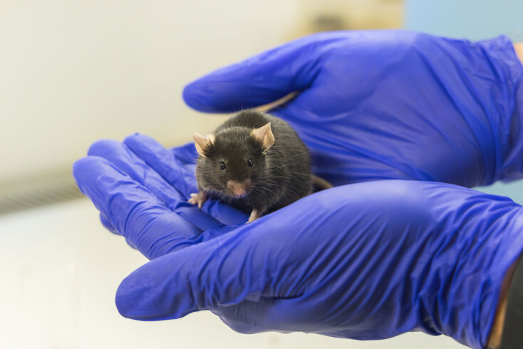 Präklinische Forschungseinheit Tierhaltung 2024