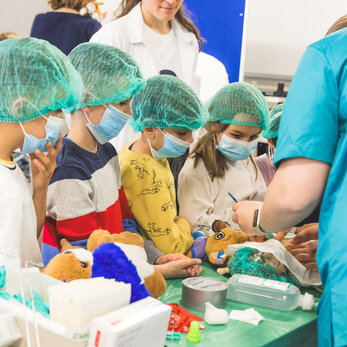 PMU-Teddybär-Krankenhaus