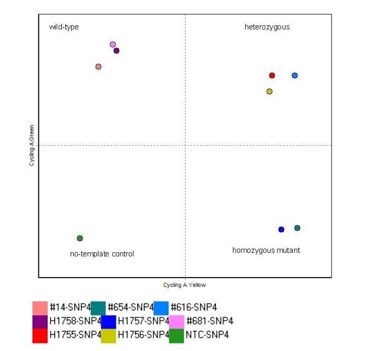 Forschungsdienstleistungen_Pharmakologie_PMU_SNPs assays