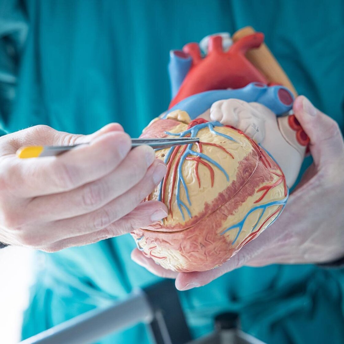 PMU Open House: Grey’s Anatomy