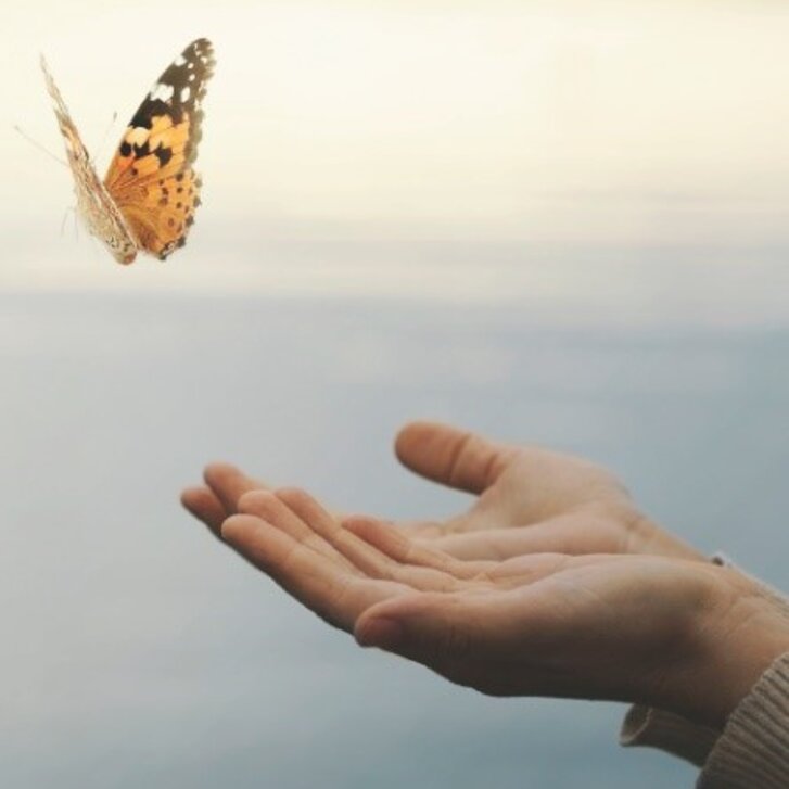 Masterstudiengang Palliative Care