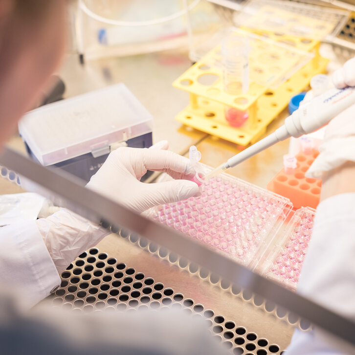 Pipettieren an einer sterilen Werkbank im Forschungslabor