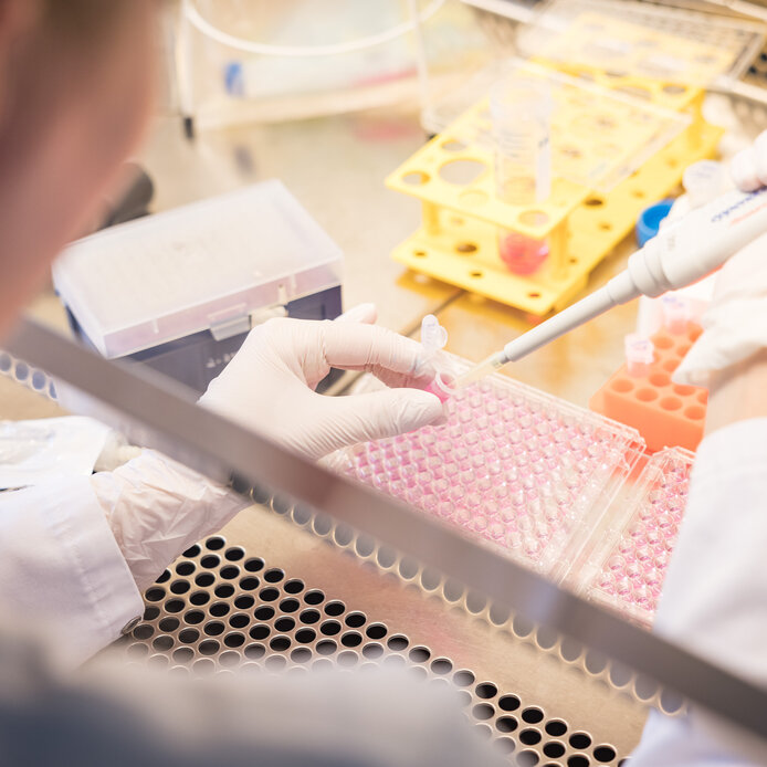 Pipettieren an einer sterilen Werkbank im Forschungslabor