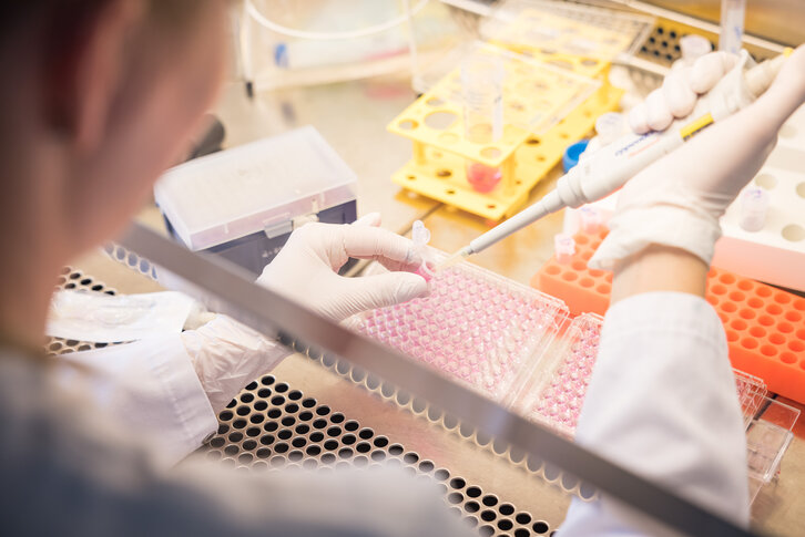 Pipettieren an einer sterilen Werkbank im Forschungslabor