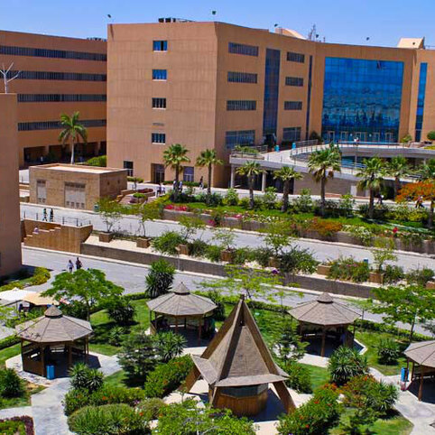 German University of Cairo