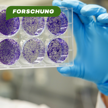 Forschung an der Pharmazie
