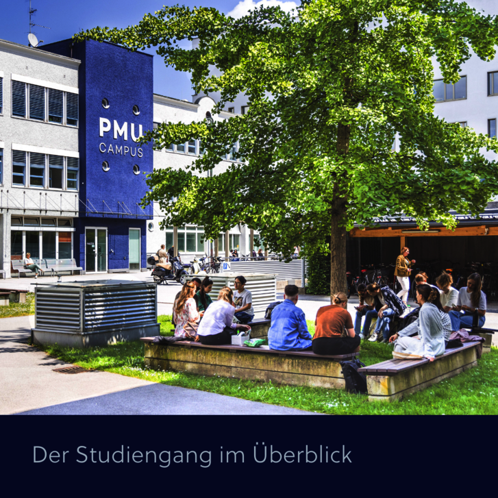 Der Studiengang im Ueberblick