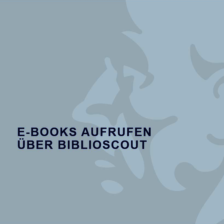 BiblioScout / Anleitungsvideo