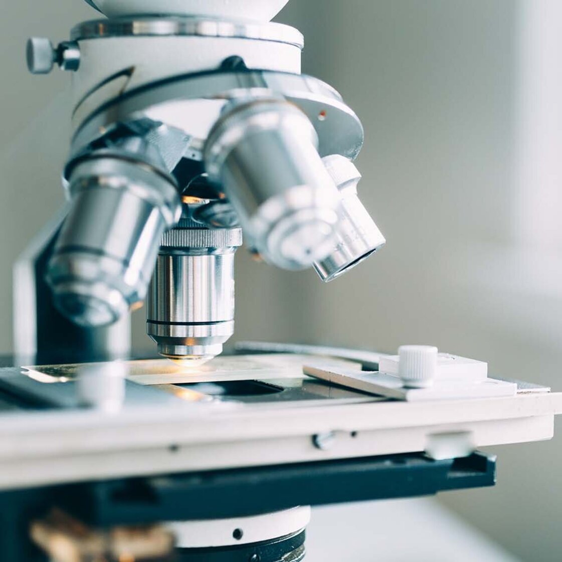 PMU Open House Campus Tour Uniklinikum Pathologie