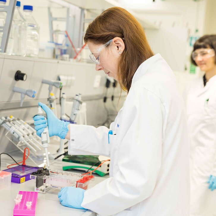 Analyse von DNA mittels Agarose-Gelelektrophorese