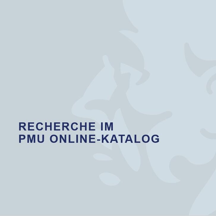 Allgemeine Recherche im Katalog
