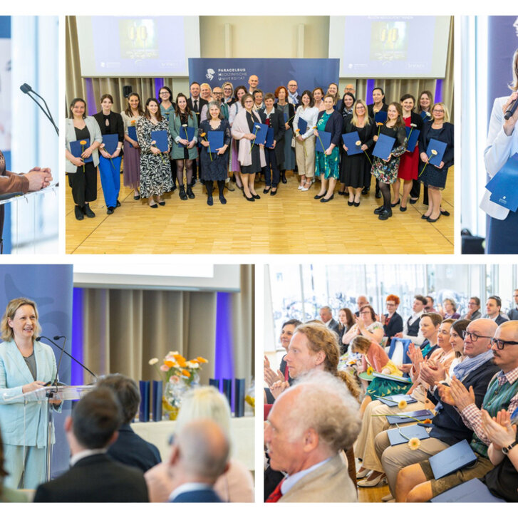 36 neue Master in Palliative Care