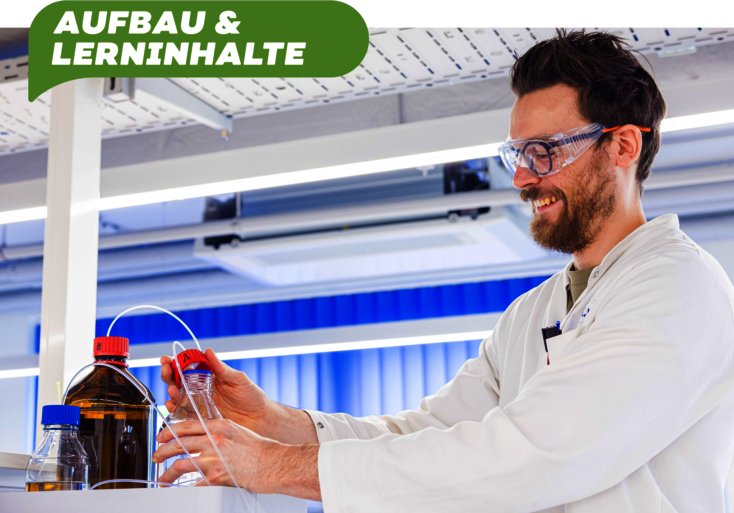 Studienaufbau und Inhalte