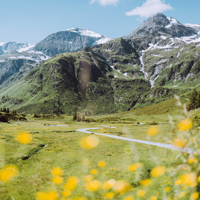 Wandern in Salzburg, Freizeit im Grünen