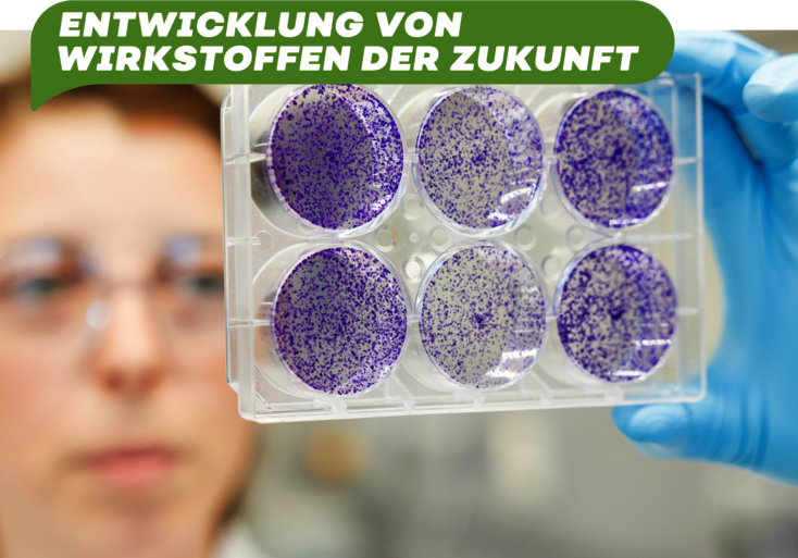 Besonderheiten des Pharmazie-Studiums
