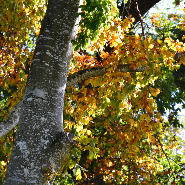 Salzburger-Palliativgespräche 2026