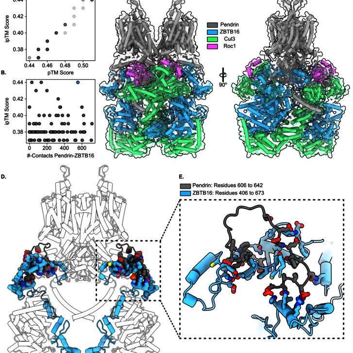 Article published in Journal of Biomedical Science (Springer Nature) Article published in Journal of Biomedical Science (Springer Nature)