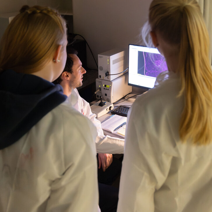Schüler betrachten Zellen am Fluoreszenzmikroskop