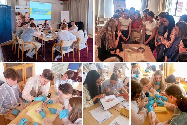 Euregio Sommerakademie 2024