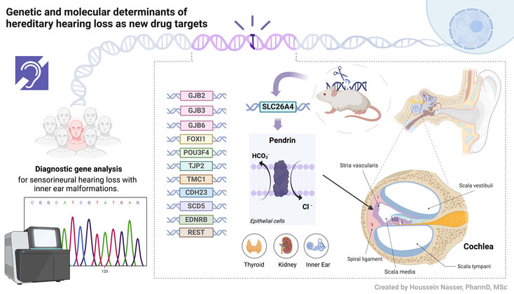 Forschung_hearing_loss_Pharmakologie