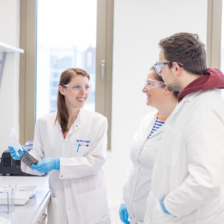 Western Blot-Demonstration für Masterstudierende